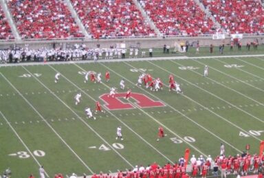 Washington State Cougars